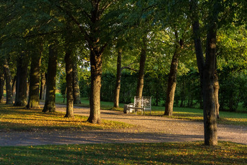 Naklejka premium evening warm light lights up a bench in the park