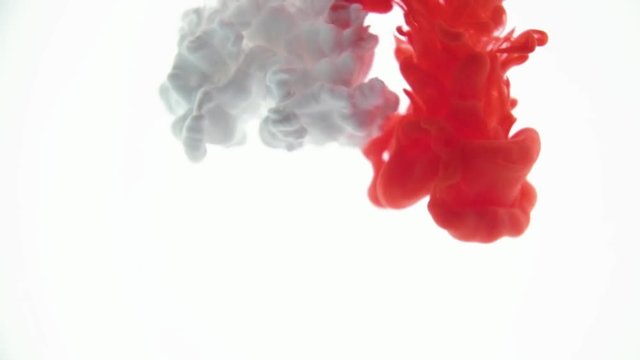 Red and White color paint ink drops in water slow motion video white background with copy space. Inky cloud swirling Abstract isolated smoke explosion