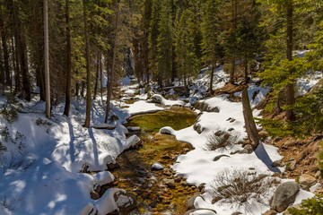 A Brook Winding Through Snow Covered Banks in Sequoia National Park, California