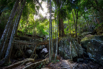 Warringa Pool Gold Coast