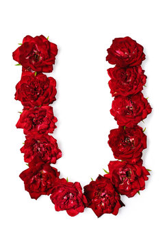 Letter U from flowers of red rose