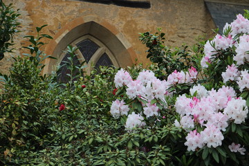 Fototapeta na wymiar bouquet fleurs fenêtre medievale