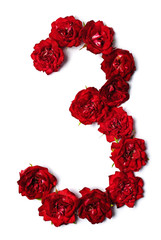 The numbers of red buds of roses flowers