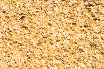 abstract coquina background in yellow color