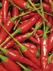 Many red hot chilli peppers with green stems for mexican food on a pile