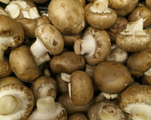 Plenty of freshly harvested mushrooms to cook with and eat after collecting in the forest