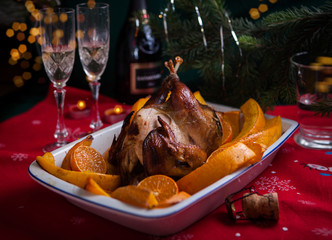 Grilled guinea-fowl with mandarins in white form for cooking with New Year's details