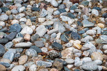 Rocks