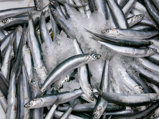 Heap of fresh anchovy fish at ice in crate, fisherman market