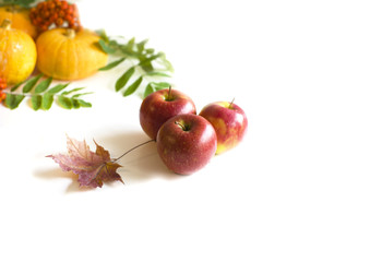 Naklejka na ściany i meble on a white background three red apples and maple leaf, in the background of pumpkin and Rowan