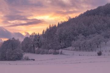 Landscape of freezing Brloh, Blansky les, South bohemian region, Czech Republic. Winter, cold and snow. Sunset.