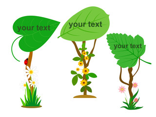Signs in the form of leaves, vegetable signs. A wonderful vector illustration for your text in the field of organic food and agriculture.
