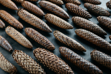 Spruce cones on a dark background. 