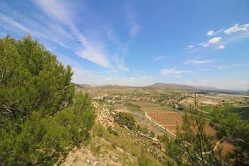 Fototapeta na wymiar Arrozales de Calasparra, Murcia, España