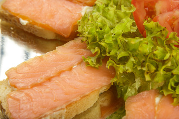Dish of sandwiches with red fish tomato and greens.