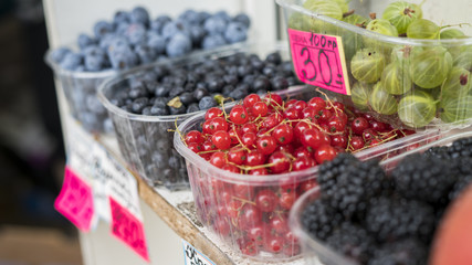 Street photos, saint petersburg, transport, buildings, strangers