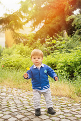 Cute little boy in park on sunny spring day holding dandelion learning to walk Toddler child outside. Mild retouch, vibrant colors.