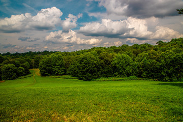 Obraz premium Down the slope of Dog Hill