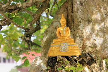 Golden Buddha under the Bodhi Tree