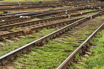 Fototapeta premium Railway rails with gravel and grass in a summer sunny day