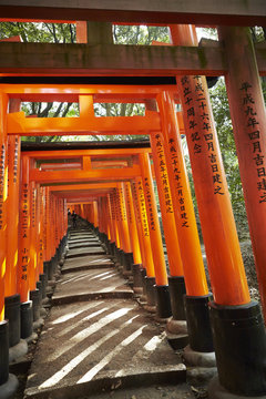 Japanese Shinto Shrine 