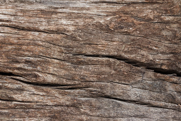 Texture of old wooden natural background
