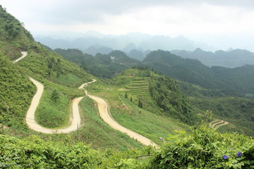 道