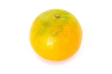 orange  fruit fresh on white background