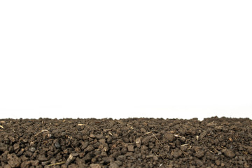 soil ground texture plant background