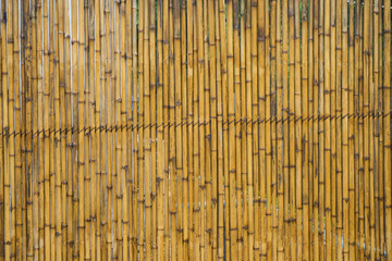 bamboo fence or wall texture background.
