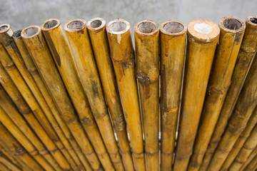 bamboo fence or wall texture background.