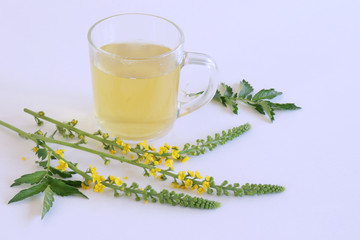 Agrimonia eupatoria, common agrimony, church steeples or sticklewort and common agrimony tea isolated on white background. Natural remedy.Food and healthy concept. Empty space for your text.