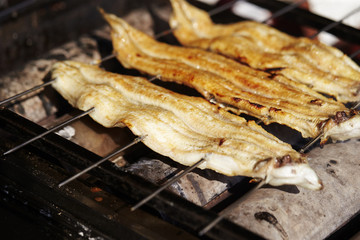 Shirayaki, Japanese grilled eel 