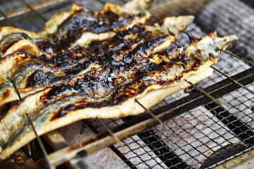 Shirayaki, Japanese grilled eel 