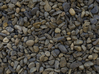 Suelo de piedras secas en verano