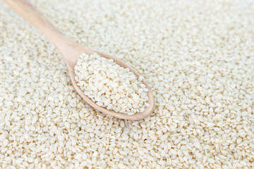 white sesame seeds in spoon on white backgroud