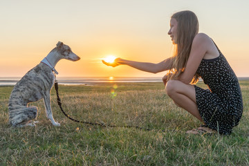 ein junges Mädchen reicht ihrem Whippet Hund die untergehende Sonne in der Hand
