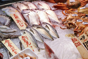 Japanese fish market 