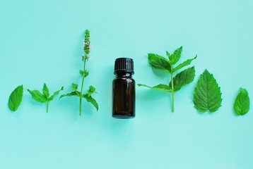 Peppermint essential oil bottle mock up, peppermint leaves and flowers composition on mint color background.