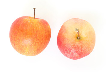 red apple on white background