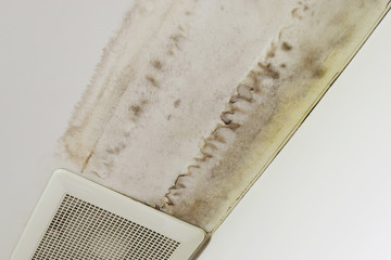 Excessive moisture can cause mold and peeling paint wall , such as rainwater leaks or water leaks.