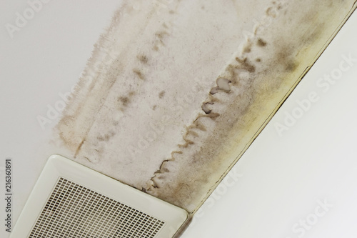 Excessive Moisture Can Cause Mold And Ling Paint Wall Such As Excessive Moisture Can Cause Mold And Ling Paint Wall Such As Rainwater Leaks Or Water