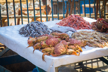 Counter with fresh sea products at the fish market in the port of the city of Essaouira. Slides of...