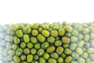 mung bean green in bottle glass on white background