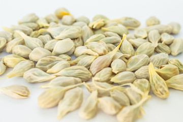 seed orange  fruit fresh on white background