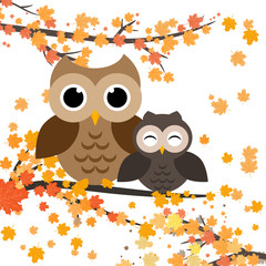 Owls sitting on a branch with leaves.Autumn vector illustration. Falling orange leaves. Cute owl character.