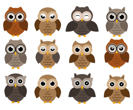 Owls icons, bright owls with different emotions. Different characters  of owls.