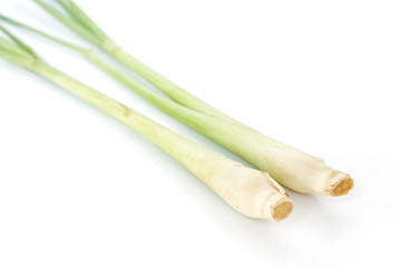 lemon grass ingredients spices thai food herb nature background