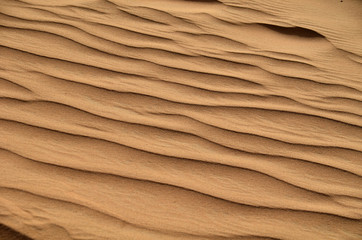 The dunes in the desert, Dubai, United Arab Emirates