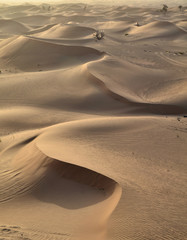 Fototapeta na wymiar The dunes in the desert, Dubai, United Arab Emirates